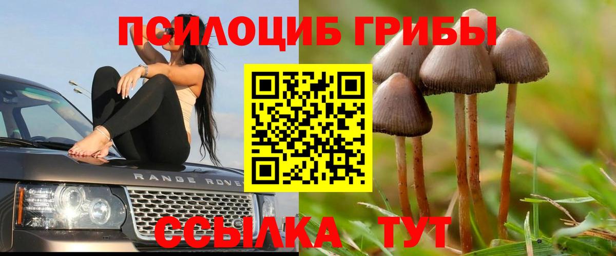 Красногорск  Псилоцибиновые грибы Psilocybine cubensis  купить наркоту  Галлюциногенные грибы ЛСД  Вход с VPN 