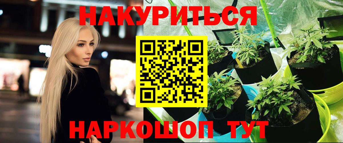 Шишки марихуана марихуана  Вход с VPN  Красногорск  Бошки марихуана сатива 